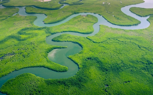 Aerial view of Amazon rainforest in Brazil with river