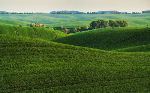 Picturesque green rolling fields